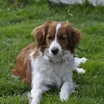 Alloggio in famiglia Haus Voithofer *