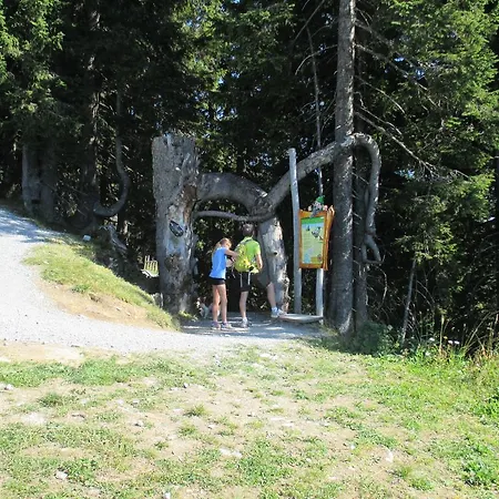 Privatunterkunft Haus Voithofer
